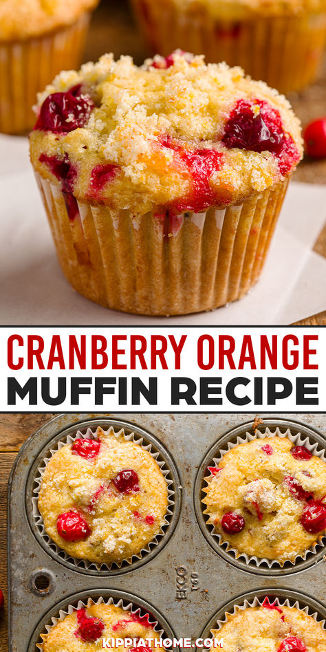 Cranberry muffins in a muffin pan Banana Dried Cranberry Muffins, Fresh Cranberry Muffins Recipes, Banana Cranberry Muffins, Cranberry Orange Muffin Recipe, Orange Muffin Recipe, Nutella Muffin, Sourdough Breads, Muffins Blueberry, Holidays Recipes