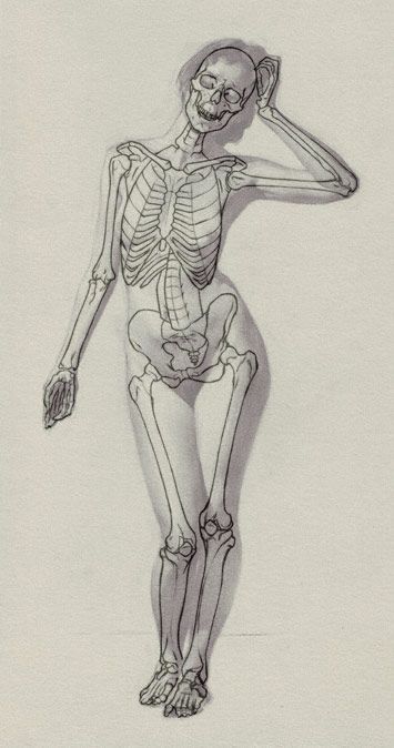 The Sight-Size Drawing Method Ako Kresliť, Drawing Method, Art Bizarre, Beautiful Pencil Drawings, Skeleton Anatomy, Skeleton Drawings, Art Demo, Human Anatomy Drawing, Human Figure Drawing