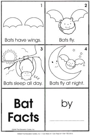 Bat Facts Activities Bat Worksheets, Science Halloween, Bats Unit, Bats Activities, Bat Facts, October School, October Ideas, October Activities, Fall Kindergarten