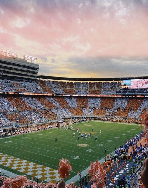 University If Tennessee, University Of Tennessee Football, Tennessee Vols Aesthetic, University Of Tennessee Dorm, University Of Tennessee Aesthetic, Tennessee College Football, U Of Tennessee, Univ Of Tennessee, Tennessee University