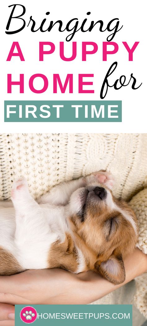 Puppies First Night Home, Puppy First Night Home, First Puppy Essentials, Puppy Essentials List, Puppy Playpen Ideas, Bringing Home Puppy, First Night With Puppy, First Time Tips, Husky Training