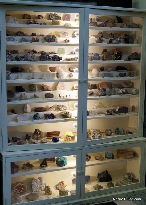 Rock Display Table, Mineral Display Ideas, Rock Shop Displays, How To Display Rocks, Rock Display Ideas, Mineral Collection Display, Rock Collection Storage, Rock Collection Display, Naturalist Decor