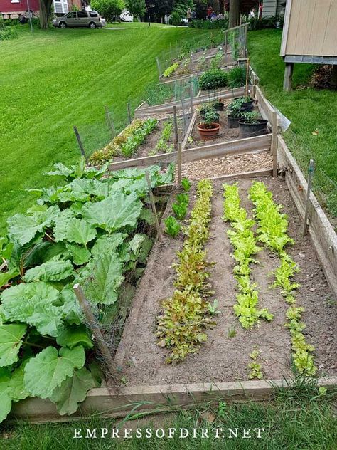 These vegetable garden ideas include raised beds, containers, and in-ground designs for any size yard or patio. Garden Box On Hillside, Long Sloped Garden Ideas, Vegetable Garden Sloped Yard, Sloping Vegetable Garden Ideas, Sloped Veggie Garden, Long Vegetable Garden Layout, Sloping Vegetable Garden, Raised Garden Sloped Yard, Sloped Backyard Garden Ideas