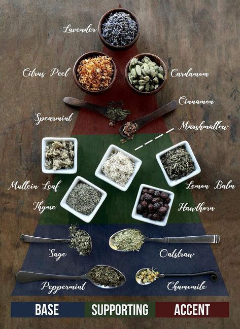 Tea Blends Recipes, Magia Das Ervas, Homemade Tea, Herbal Teas Recipes, Herbal Drinks, Lip Scrubs, Tea Diy, Herbal Recipes, Herbal Apothecary