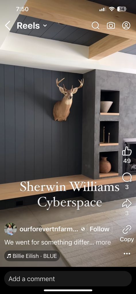 Video X, Sherwin Williams, Be Bold, Types Of Wood, Wood, Color, Home Decor, Home Décor