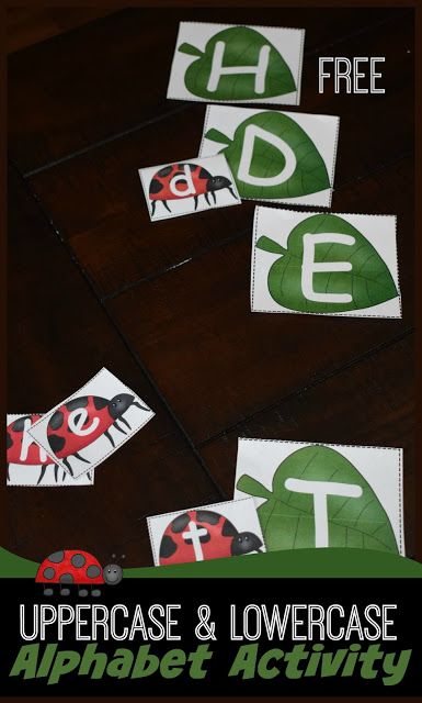 FREE Ladybug Alphabet Letters Activity - this uppercase alphabet and lowercase alphabet matching activity is great for preschool, kindergarten, and first grade kids to practice #alphabet #alphabetactivity #alphabetgames #freeprintable #freeliteracygames #kindergartenworksheetsandgames Ladybug Activities For Preschool, Honeycomb Craft, Ladybug Alphabet, Ladybugs Preschool, Preschool Bugs, Letters Activity, Insect Study, Doubles Addition, Alphabet Letter Activities