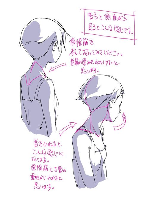 Back Profile Drawing Reference, Over The Shoulder Pose, Neck Drawing, Back Drawing, Anatomy Tutorial, Drawing Studies, 캐릭터 드로잉, Anatomy Drawing, Poses References