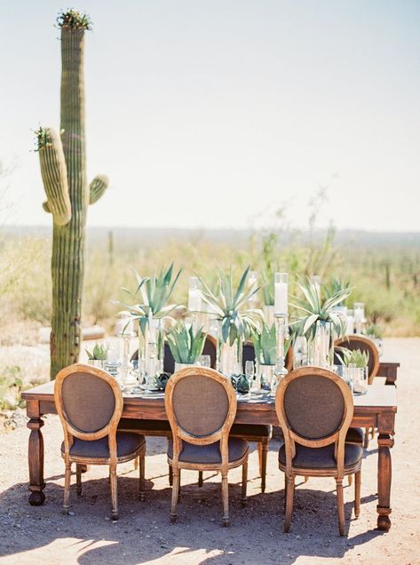 An intimate desert wedding with succulent dÃ©corâwhere do we sign up? Don't miss this cactus-filled celebration on PartySlate. #intimatewedding #destinationwedding #weddingideas #weddinginspo Agave Party Decor, Tequila Party Centerpieces, Agave Centerpiece, Agave Party, Desert Tablescape, Southwest Wedding Decor, Agave Wedding, Southwest Wedding Invitations, Ranch Elopement