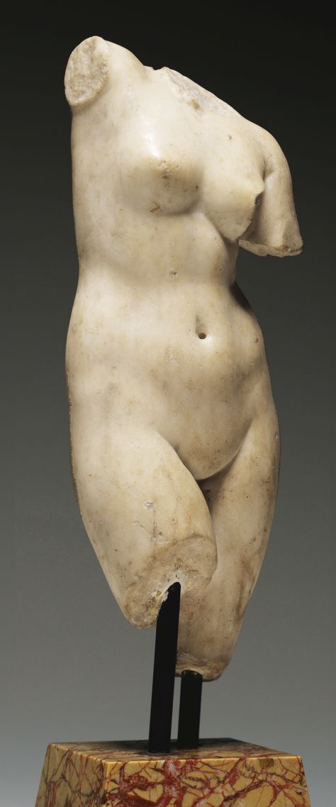 A Hellenistic Marble Torso of Aphrodite, circa 2nd Century B.C. Of the type called Aphrodite Anadyomene, of graceful form standing with her weight on the left leg, her right arm and left forearm formerly raised to arrange her hair, part of a tress remaining on her right shoulder. Height 13 in. 33 cm. -Sotheby's- Marmor Background, Anatomy Sculpture, Barbara Hepworth, Roman Statue, Classic Sculpture, Richard Serra, Greek Statues, Antony Gormley, Female Torso