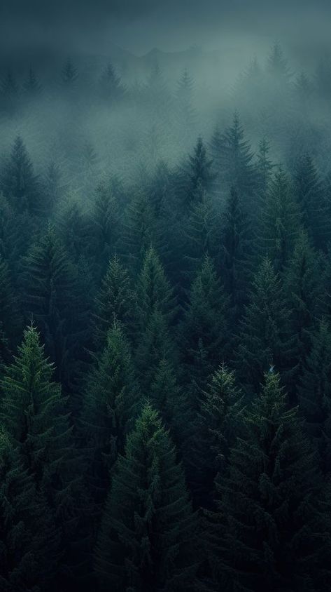 Deep pine forest background backgrounds outdoors woodland. AI generated Image by rawpixel. | premium image by rawpixel.com / Ling Iphone Forest Wallpaper, Pine Forest Aesthetic, Iphone Wallpaper Forest, Pine Forest Wallpaper, Mountain Iphone Wallpaper, Deep Green Forest, Forest Wallpaper Iphone, Minimalist Iphone Wallpaper, Wallpaper Mountain