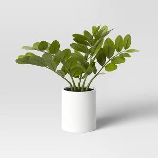 Decorative Objects : Page 4 : Target Small Indoor Plants, Zz Plant, Youth Room, Artificial Potted Plants, Floor Plants, Shared Room, Girl Bedroom Designs, Fiddle Leaf Fig, Summer Home Decor