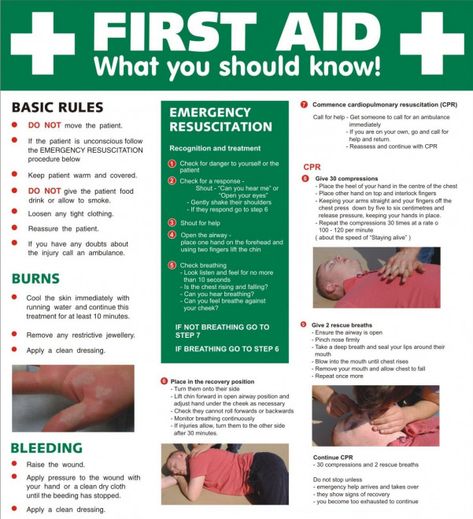 First Aid Awareness is suitable for all members of staff and will provide a basic awareness of the actions involved in providing simple first aid in the workplace. Read More. #firstaid #first #aid #course First Aid Poster, Workplace Safety Tips, Science Chart, Health And Safety Poster, Emergency Essentials, First Aid Tips, Safety Poster, Safety Awareness, Safety Courses