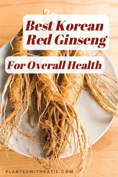 Best Korean Red Ginseng Ginseng Benefits Women, Benefits Of Ginseng For Women, Red Panax Ginseng Benefits, Korean Red Ginseng Benefits, Korean Ginseng Benefits, Ginseng Tea Benefits, Red Ginseng Benefits, Benefits Of Ginseng, Royal Jelly Benefits