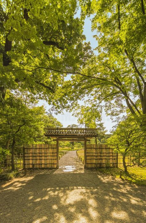 Bamboo Gate Entrance, Bamboo Gate Design Entrance, Bamboo Gate Design, Bamboo Entrance, Bamboo Gate, Bamboo Farm, Bamboo Garden Fences, Fancy Fence, Metal Gates Design