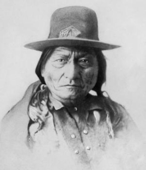 Buffalo Bulls, Sitting Bull, Native American Peoples, Native American Heritage, We Are The World, Native American History, American Pride, American Heritage, Native American Art