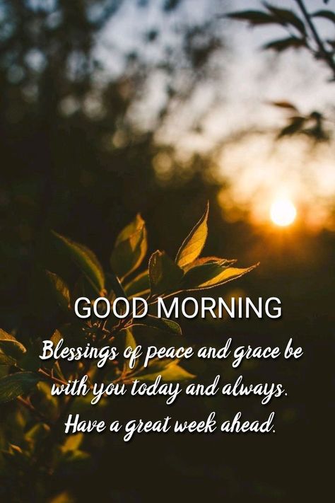 Gud Mrng Images Morning Quotes, Gud Mrng Images, Sunday Wallpaper, Prayer Morning, Inspirational Morning Prayers, Motivation Morning, Good Morning Sun, Ramadan Wishes, Good Morning Happy Friday