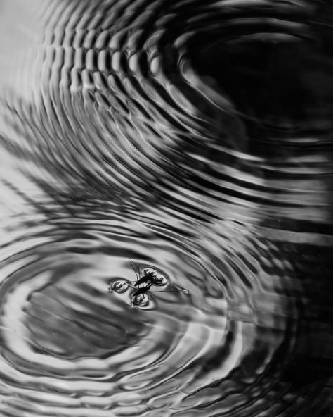 Ripple Effect | mnmfotofolio | Flickr Surrealism Ideas, Rippled Water, The Ripple Effect, Tattoo Reference, Motion Photography, Water Effect, Ripple Effect, Salt Air, Silver Water