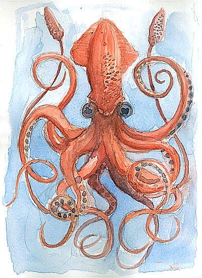 giant squids are awesome | Everything That I Think is Wonderful Lula Animal, Giant Squid Drawing, Possible Tattoo, Squid Drawing, Colossal Squid, Squid Tattoo, Ocean Drawing, Drawing Legs, Giant Squid