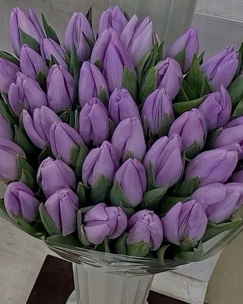 Tulip Flower Pictures, Light Purple Flowers, Purple Flowers Wallpaper, Purple Bouquet, Boquette Flowers, Flower Gift Ideas, Tulip Bouquet, Flowers Bouquet Gift, Nothing But Flowers