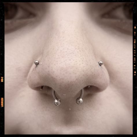 Double Nose Piercing - Septum piercing 2 Stud Nose Piercing, Double Nose And Septum Piercing, Double Nostril And Septum, Nose And Septum Piercing, Double Nostril And Septum Piercing, Double Septum, Double Nostril, Double Nostril Piercing, Double Nose Piercing