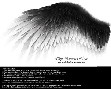 Black And White Angel Wings, Black And White Wings, Wind Fairy, Angel Wings Drawing, Darkest Hour, Art Romantic, White Angel Wings, Wings Drawing, Angel Wings Tattoo