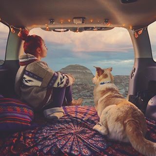 Van Traveling, Sleep In Car, Camping With Cats, Camping Sauvage, Perfect Road Trip, Camp Vibes, Dog Camping, Best Cars, Road Trip Hacks