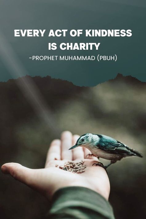 Save Birds Quotes, Charity Quotes Acts Of Kindness, Quotes On Charity, Charity Aesthetic, Kindness Pictures, Healing Habits, Muslim Charity, Poverty Quotes, Charity Quotes