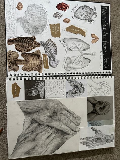 Gcse Art 3d Final Piece, Art Visual Diary, Art Mindmap, Gcse Fragments, Artbook Ideas, Natural Form Artists, Sketchbook Examples, Artist Research Page, Distortion Art