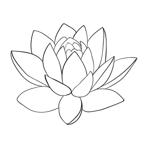 Lotus Line Drawing, Lotus Line Art, Lotus Drawing, Lotus Vector, Lotus Bud, Flower Line Drawings, Line Art Design, Art Deco Ring, Line Art Drawings