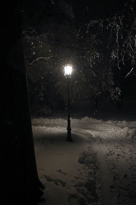 dark winter snow aesthetic. Dark christmas. Snow storm snow in city lamp post Winter Snow Aesthetic, Snow Aesthetic, Snow Pictures, Dark Christmas, Night Scenery, Deep Winter, Dark Winter, Winter Wallpaper, Winter Scenery