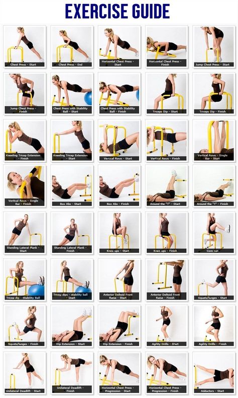 Dip Station Bar (Lebert Equalizer) Parallettes Workouts, Bar Workouts, Bar Exercises, Dip Bar, Bar Workout, Calisthenics Workout, Fit Girl Motivation, Fit Board Workouts, Calisthenics