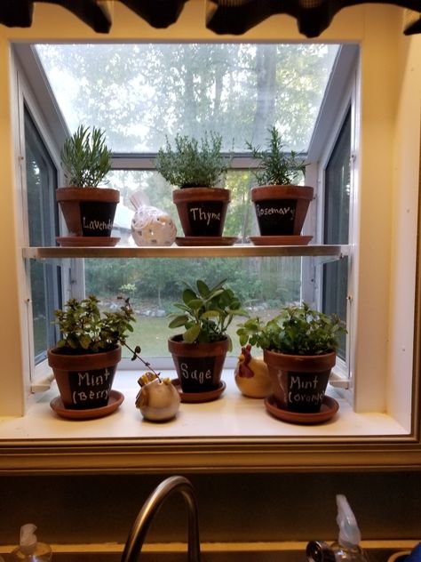 Window Sill Herbs, Bay Window Herb Garden, Kitchen Herb Window, Window Herb Garden Indoor, Kitchen Garden Window Ideas, Inside Herb Garden, Garden Window Kitchen, Bay Window Garden, Window Box Herb Garden