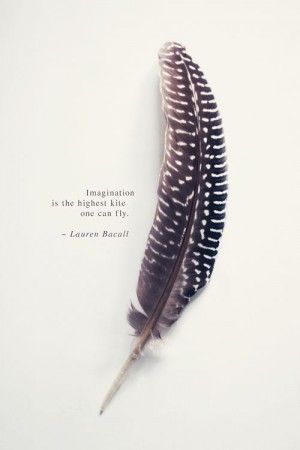 feather, quote © sirka hiltner photography | http://society6.com ... Veer Tattoo, Bird Stencils, Feather Quotes, Feather Magic, Caption Ig, Feather Meaning, Feather Bird, Imagination Art, Angel Quotes