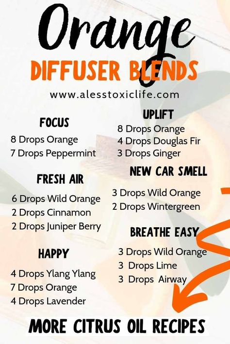 The Amazing Health Benefits Of Citrus Essential Oils - Orange essential oil can be used for focus and immunity support. Try some of these orange diffuser blends. #orange #diffuserblends #youngliving #doterra #essentialoils #beauty #newcars Plant Alchemy, Scent Blends, Zen Life, Essential Oil Diffuser Blends Recipes, Essential Oil Diffuser Recipes, Oil Diffuser Recipes, Essential Oil Blends Recipes, Citrus Essential Oil, Diffuser Blend