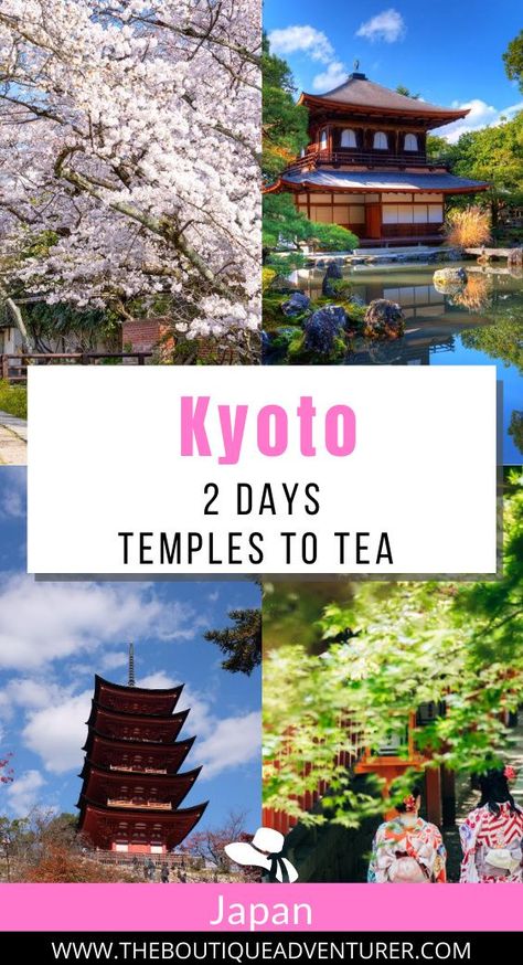 2 Day Itinerary Kyoto: From temples to tea to geishas - there is so much to see in Kyoto. Here are the activities you must do if you only have 2 days Kiyomizu-dera Temple, Kyoto Itinerary, Kansai International Airport, Visit Kyoto, Golden Pavilion, Kiyomizu Dera, Japan Travel Tips, Japan Travel Guide, Next Holiday