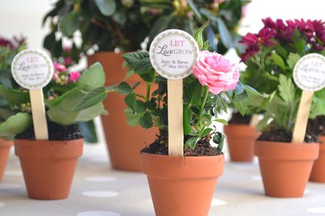 DIY Potted plants as wedding favors Buy seeds enough time before to grow the plants yourself to give as a wedding favor use biodegradable plant holders Budget Friendly Wedding Favours, Plant Wedding Favors, Plants Wedding, Tattoo Plant, Wedding Plants, Plant Pot Diy, Budget Friendly Wedding, Diy Flower Pots, Diy Pots