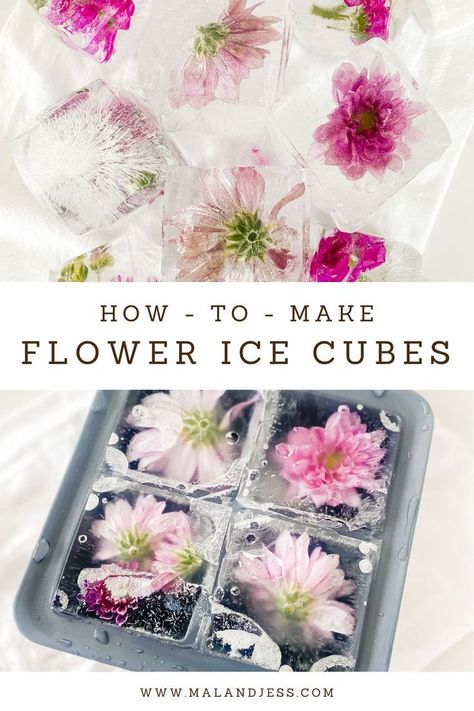 How to Make Flower Ice Cubes Ice Cubes Ideas, Flower Bar Ideas, Fancy Ice Cubes, Floral Ice Cubes, Flower Ice Cubes, Floral Drink, Floral Ice, Flower Pedals, Baby Shower Drinks