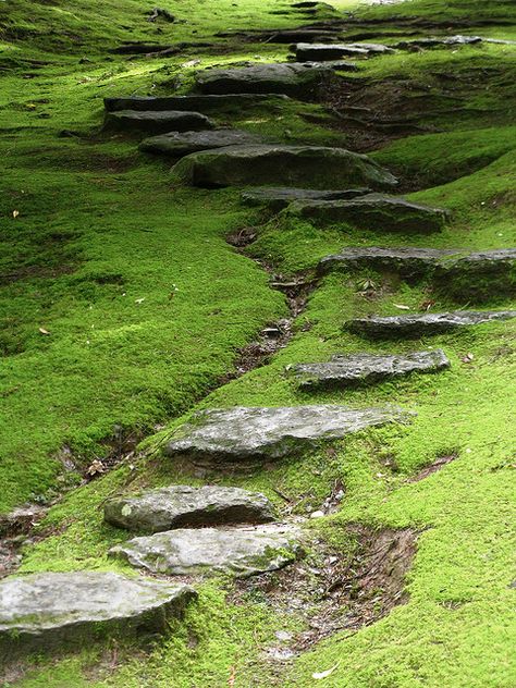 Stepping Stone Path at the Japanese Garden, Portland, Oregon. Photo by serendipityflicious via Flickr. Diy Japanese Garden Decor, Japanese Stone Garden, Pathway Ideas, Landscape Stairs, Stepping Stone Paths, Portland Japanese Garden, Garden Stepping Stones, Asian Garden, Sloped Garden