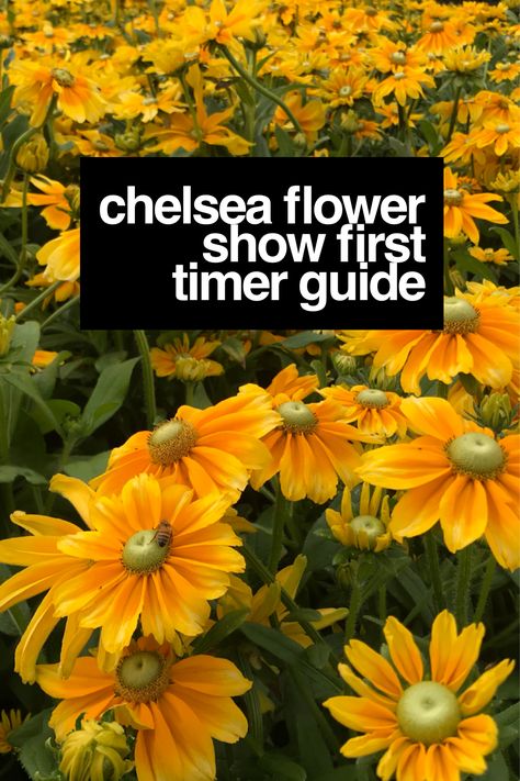 Are you visiting Chelsea Flower Show for the first time?  Want the top tips and tricks to get the most out of it? Then follow my insider guide! #chelseaflowershow #gardening #flowershow #rhs #gardendesign Chelsea Flower Show Outfit, Chelsea Flower Show 2024, Chelsea Garden Show, Chelsea Garden, Rhs Chelsea Flower Show, England Trip, London Trip, Paris Trip, Garden Guide