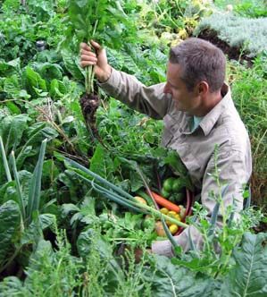 Vegetables Growing, Sustainable Gardening, Food Production, Inside Plants, Garden Veggies, Community Garden, Simple Organic, Food Garden, Vegetable Gardening