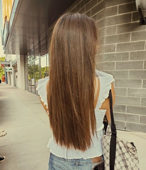 Straight brown hair Pin Straight Brown Hair, Nice Hair Aesthetic, Light Brunette Hair Straight, Straight Chestnut Brown Hair, Simple Haircut For Long Hair Straight, Normal Brown Hair, Hair For Brown Hair, Long Thick Straight Hair, Light Brown Hair Straight