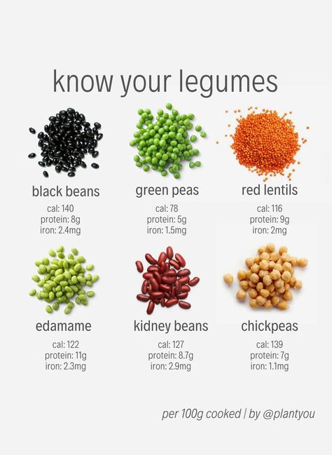 Are you wondering the macros on the legumes you eat!? Well we have the perfect list for you! Legumes are everything from black beans, green peas, lentils ,edamame, kidney beans and chickpeas!   Are you ready to start a plant-based diet!? Check out the Plant Ahead Meal Prep Program.  Vegan Protein | High Protein Vegan Recipes | Veganism | How to go Vegetarian | How to Go Vegan | Veganism for Beginners   #veganmealprep #healthyvegantips #howtobehealthy #plantbasedproteins #plantbasedrecipeideas Plantyou Vegan, Legumes List, Protein Macros, Plant Based Diet Meals, Plant Diet, Plant Based Diet Meal Plan, Vegan Protein Recipes, Plant Based Meal Planning, Vegan Protein Sources