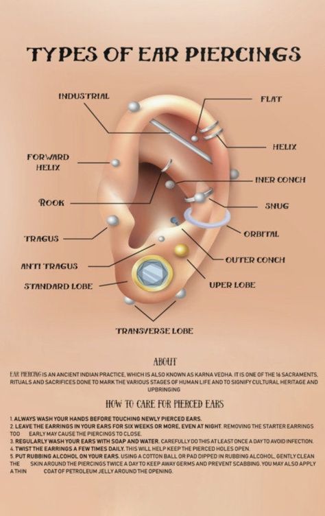 Earrings Piercings Names, Air Piercings Ideas, Ear Piercings Types Chart, Capricorn Constellation Ear Piercing, All Ear Piercings Names Chart, Earring Types Chart, Piercings Ear Labeled, Earing Placement Names, Different Type Of Piercing