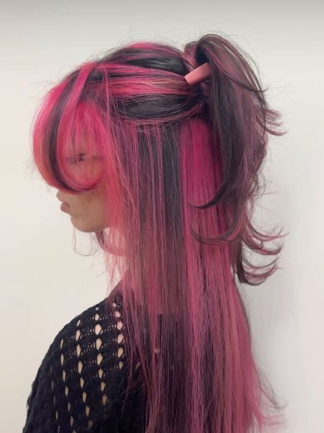 Calico Hair, Skunk Hair, Hair Inspiration Long, Cute Hair Colors, Hair Color Streaks, Dyed Hair Inspiration, Hair Streaks, Pink Highlights, Pretty Hair Color