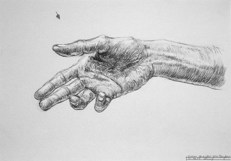 hatching Outstretched Hand Drawing, Hand Outstretched, Hatching Drawing, Cross Contour, Dual Enrollment, Contour Drawings, Outstretched Hand, Contour Line Drawing, Board Drawing