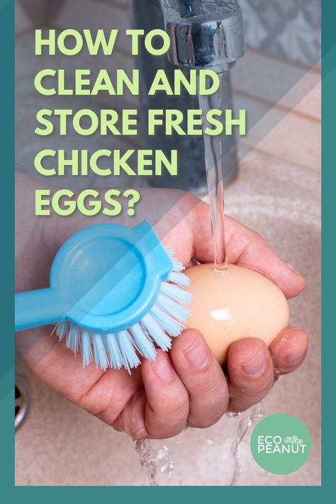 Egg Hacks, Clean Chicken, Farm Eggs, Organic Eggs, Free Range Chickens, Egg Storage, Organic Cleaning Products, Fresh Chicken, Farm Fresh Eggs