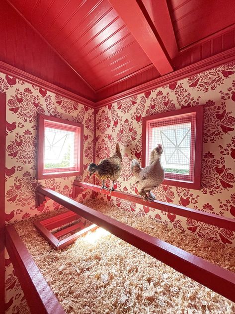 Chicken Coop Beautiful, Cute Chicken House Ideas, Chicken House With Run, Wallpaper In Chicken Coop, Luxury Chicken Coop Interior, 30 Chicken Coop, Decorated Chicken Coop Ideas, Octagon Chicken Coop, Silo Chicken Coop Hen House