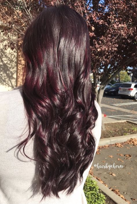 Raspberry Red Velvet Hair 🍇✨ #hairbycheree #redviolethair #redhair #violethair #joico #lumishine #redvelvethair Dark Velvet Hair, Blackberry Red Hair, Velvet Red Hair Color, Dark Red Velvet Hair, Cherry Coke Highlights On Dark Hair, Dark Raspberry Hair Color, Curly Cherry Coke Hair, Red Violet Hair Color Balayage, Dark Ruby Hair