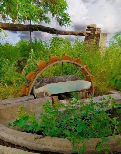 This is old well from taking underground water. #Punjab Old Culture Of Punjab, Punjab House, Old Punjab, Punjab Culture, House Tattoo, Old Well, Indian Theme, Food Art Photography, Themes Photo