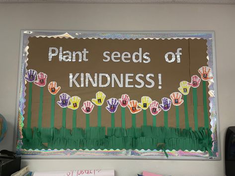 A Seed Of Kindness Bulletin Board, Planting Seeds Of Kindness, Tiny Seeds Grow Mighty Trees Bulletin, Plant Seeds Of Kindness Bulletin Board, Wildflowers Decor, Plant Bulletin Board, Kindness Blooms Here Bulletin Board, Garden Bulletin Boards, Nature Classroom